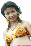 18 Año viejo tailandés Adolescente en tigre Bikini antes de margen parpadea todos su Travieso ampliamente