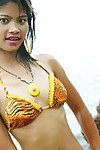 18 année vieux Thai adolescent dans Tiger bikini avant la marge clignote Tous Son coquine largement